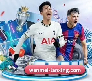完美体育的方向(WMsports)